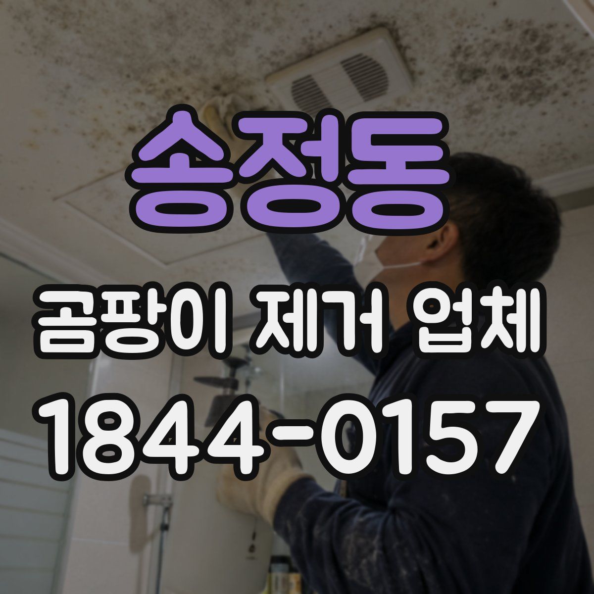 송정동 곰팡이 제거 업체