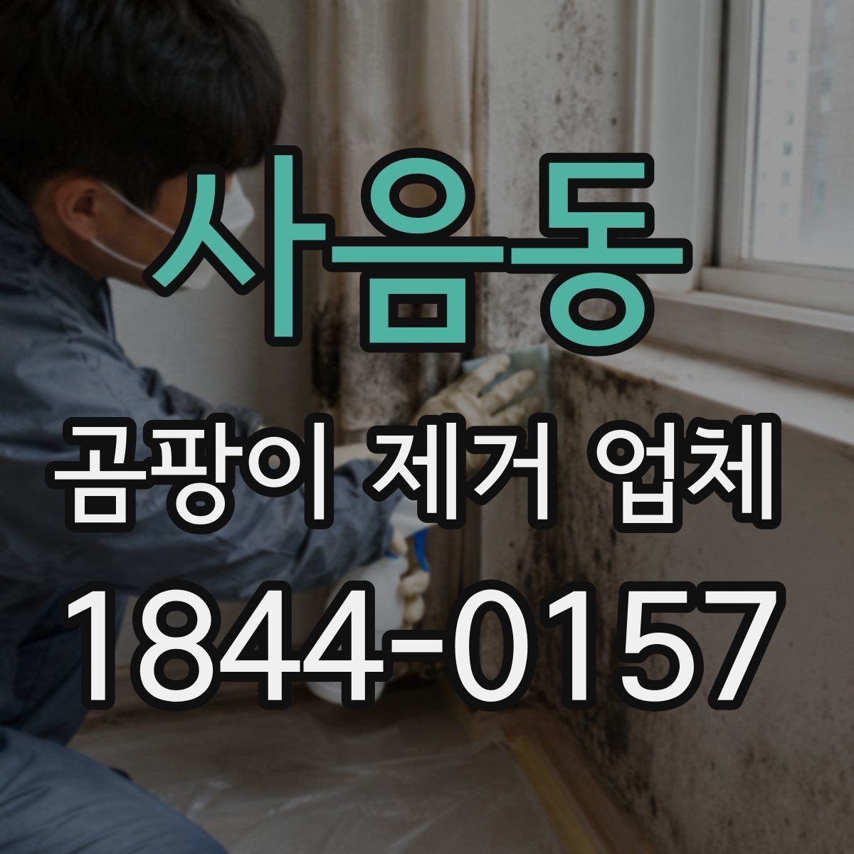 사음동 곰팡이 제거 업체 세대 간 번짐 가능성을 확인하는 체크포인트