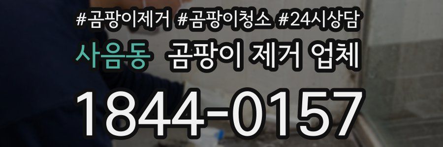 사음동 곰팡이 제거 업체