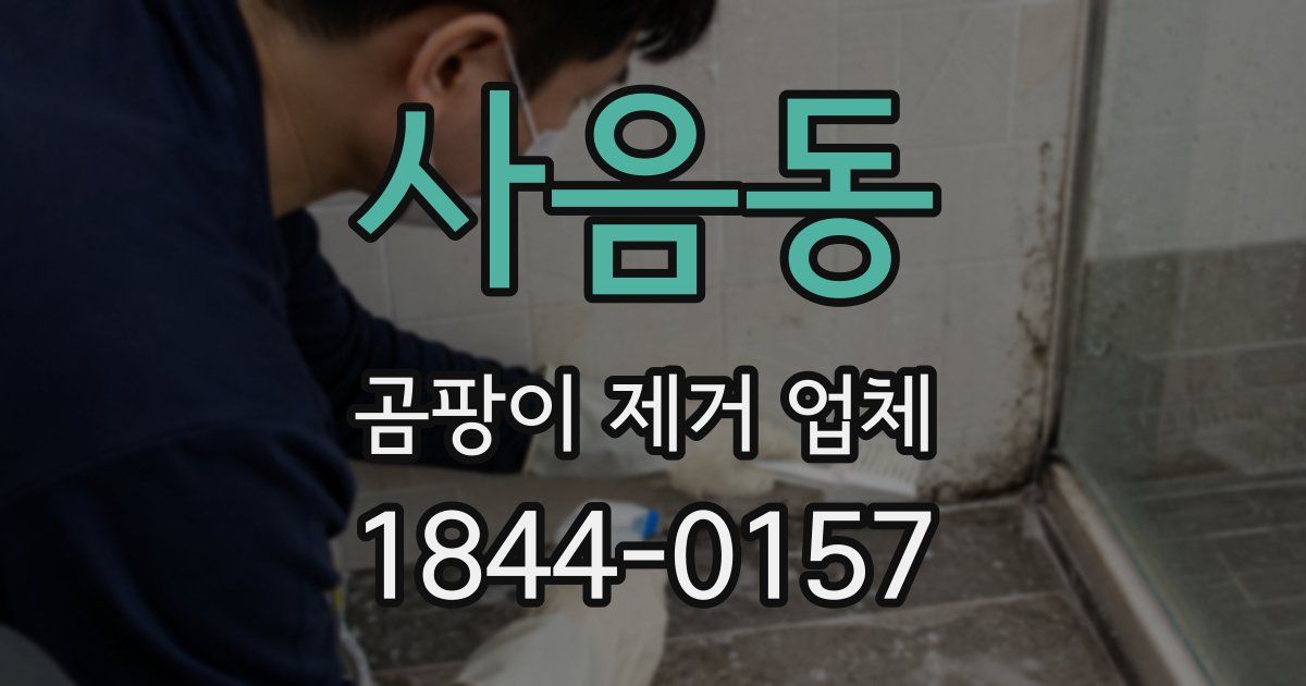 사음동 곰팡이 제거 업체