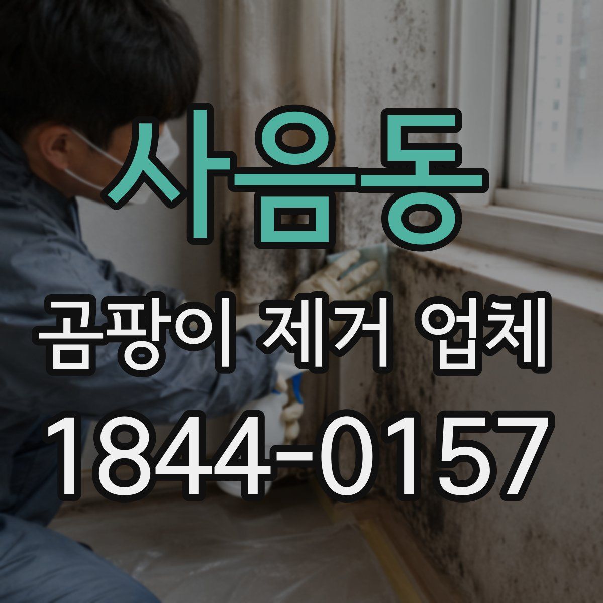 사음동 곰팡이 제거 업체
