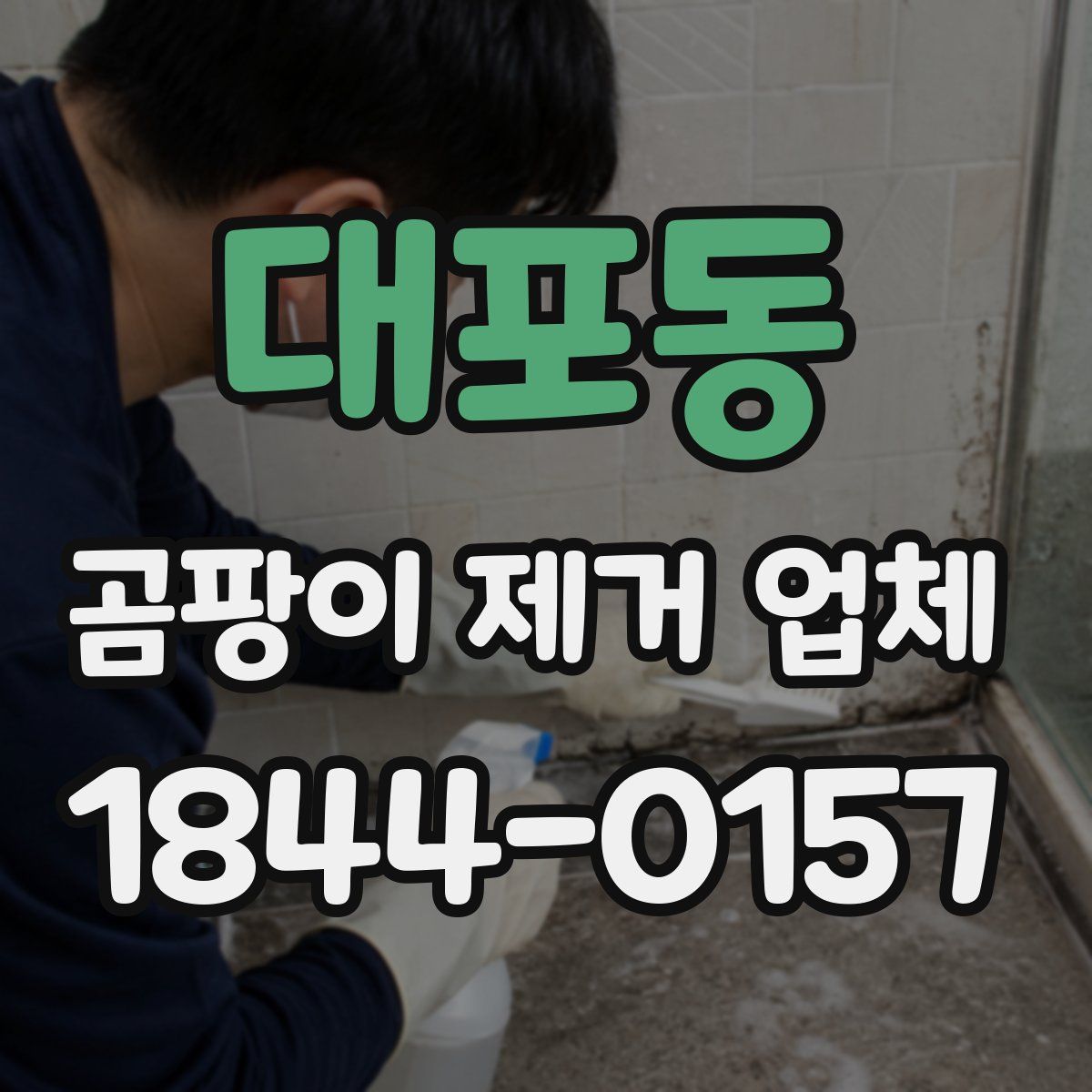 대포동 곰팡이 제거 업체