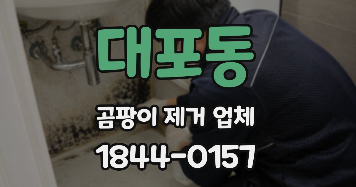 대포동 곰팡이 제거 업체