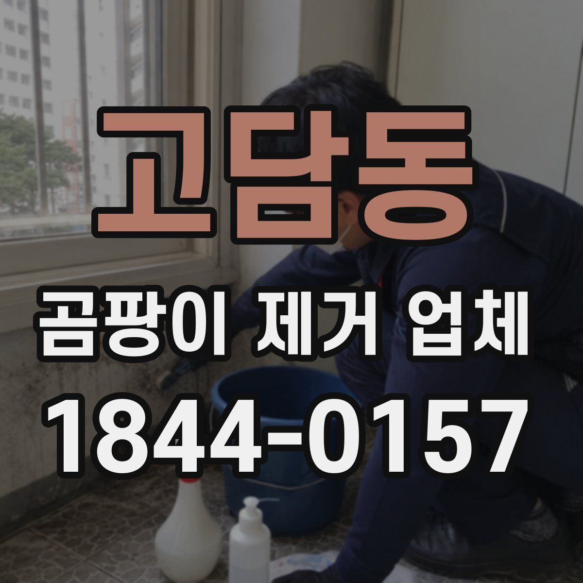 고담동 곰팡이 제거 업체