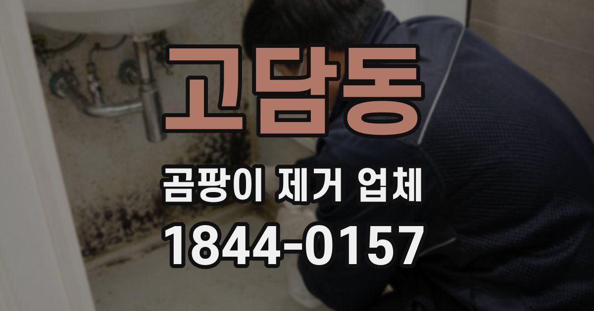고담동 곰팡이 제거 업체