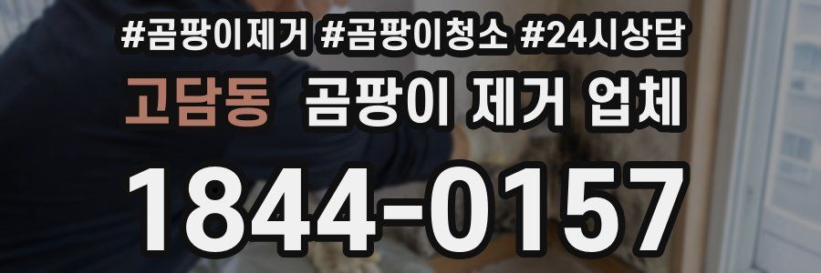고담동 곰팡이 제거 업체