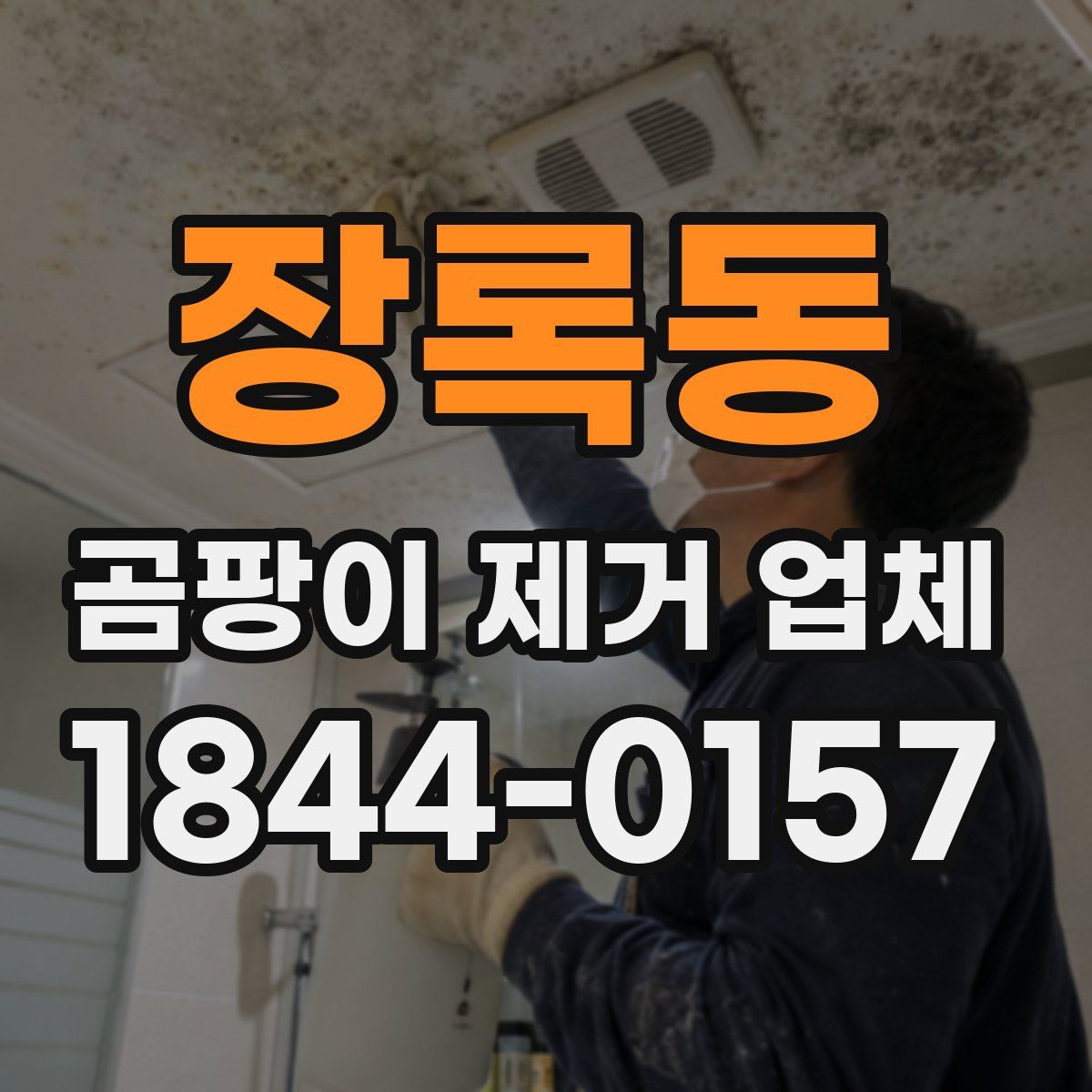 장록동 곰팡이 제거 업체