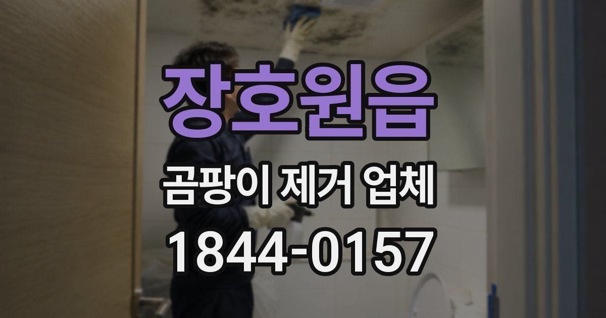 장호원읍 곰팡이 제거 업체