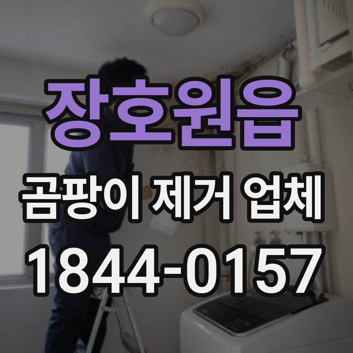 장호원읍 곰팡이 제거 업체