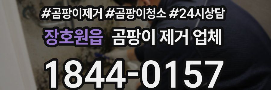 장호원읍 곰팡이 제거 업체