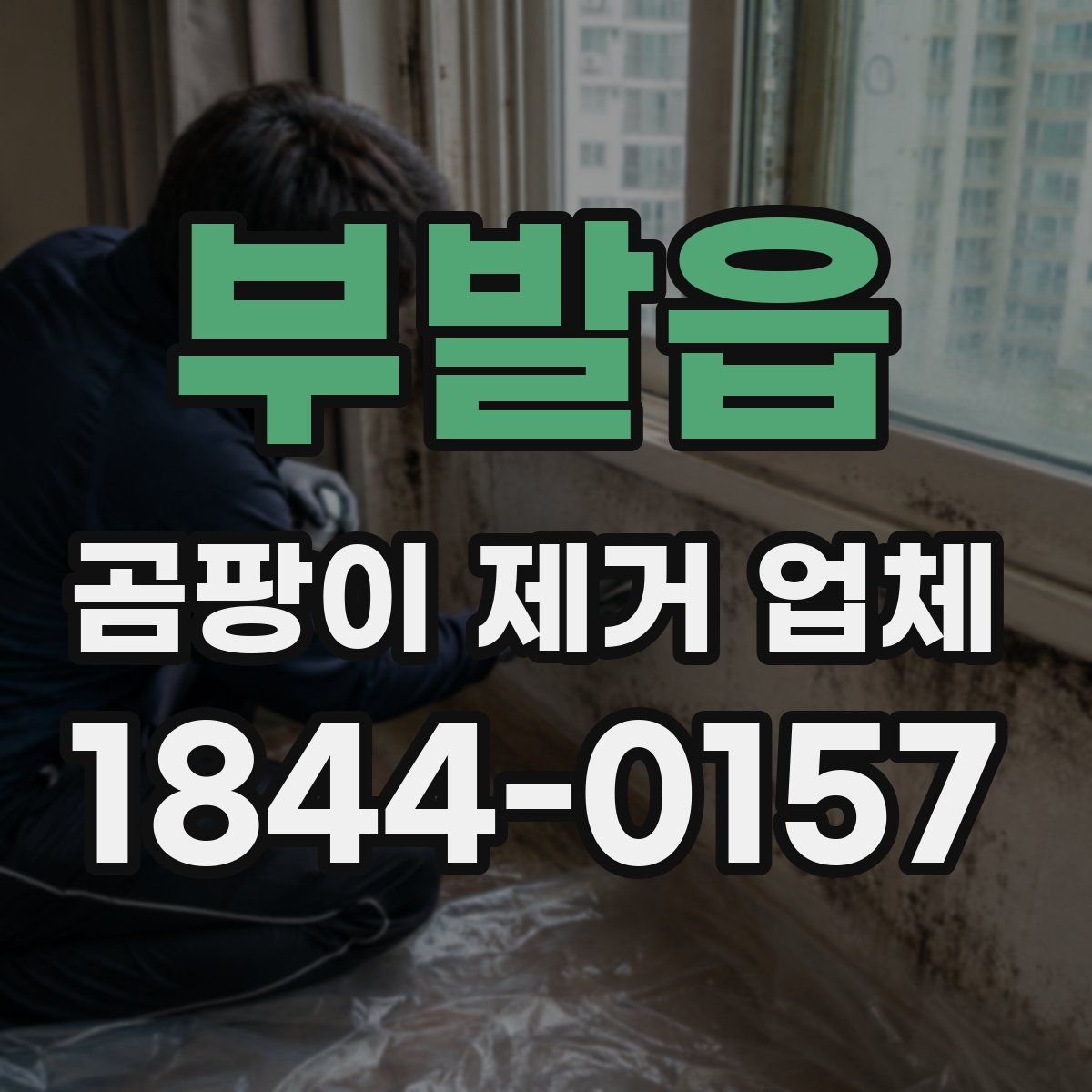 부발읍 곰팡이 제거 업체