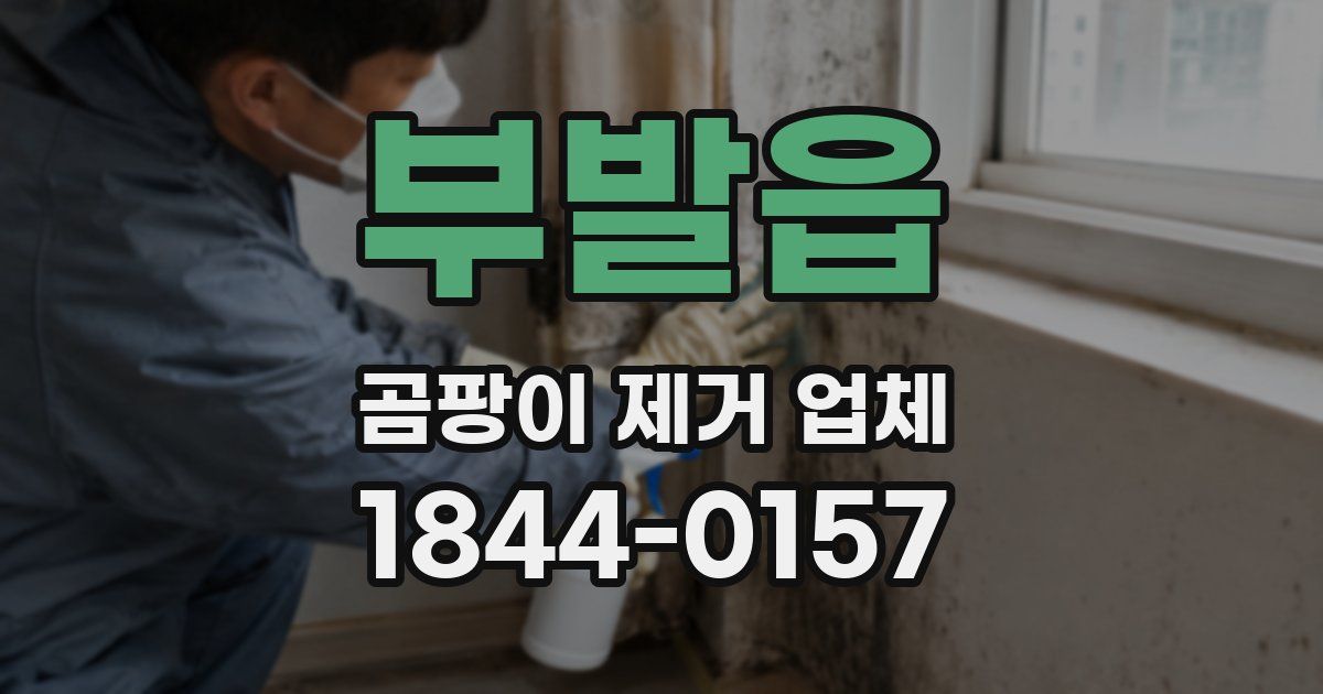 부발읍 곰팡이 제거 업체