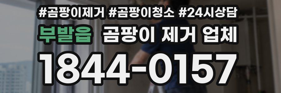 부발읍 곰팡이 제거 업체