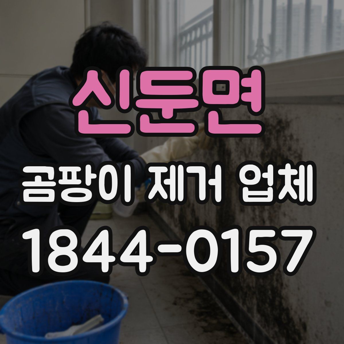 신둔면 곰팡이 제거 업체