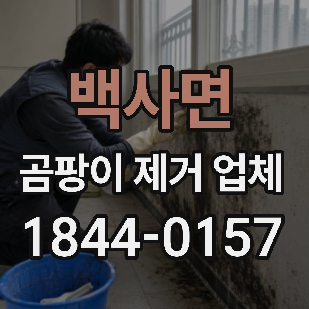 백사면 곰팡이 제거 업체