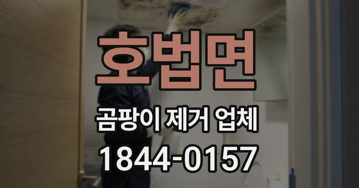 호법면 곰팡이 제거 업체