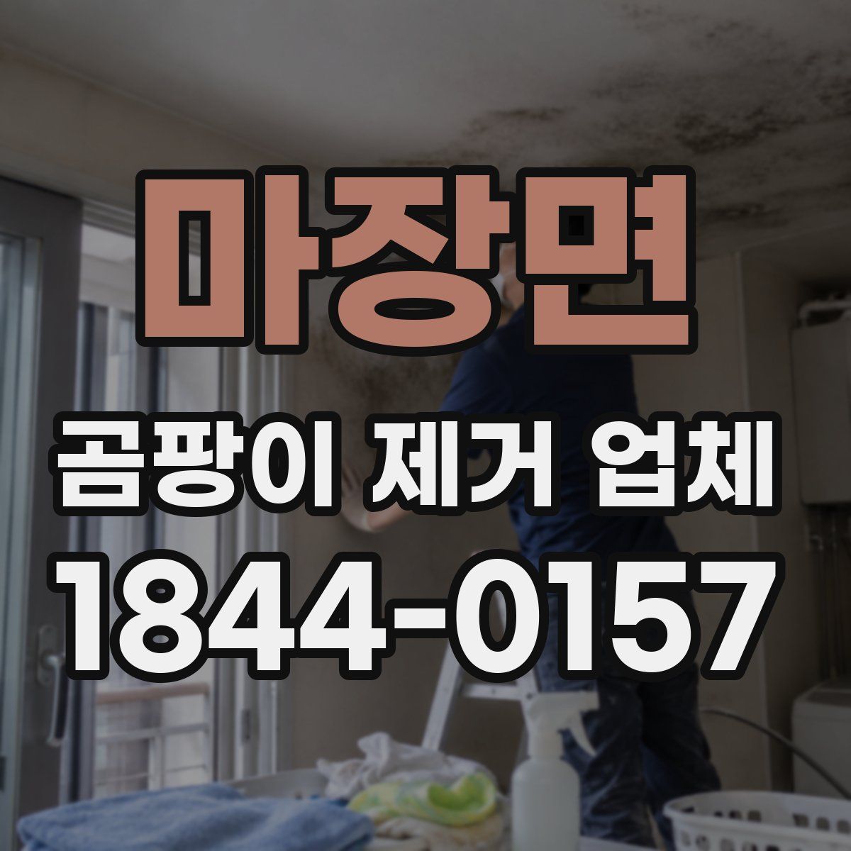 마장면 곰팡이 제거 업체