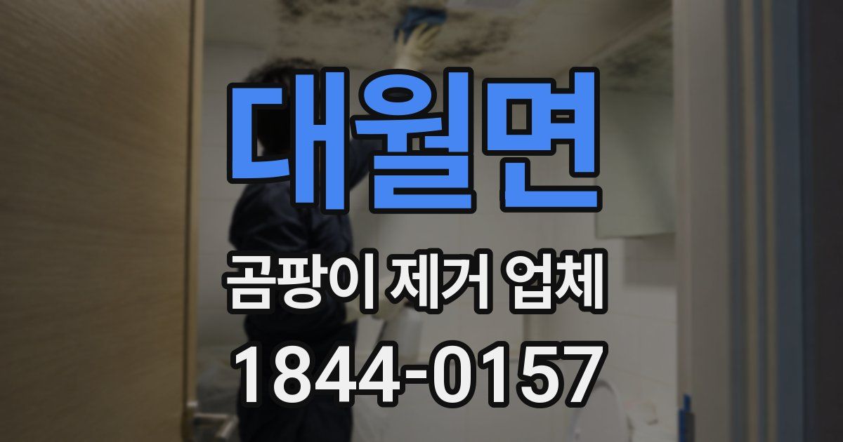 대월면 곰팡이 제거 업체