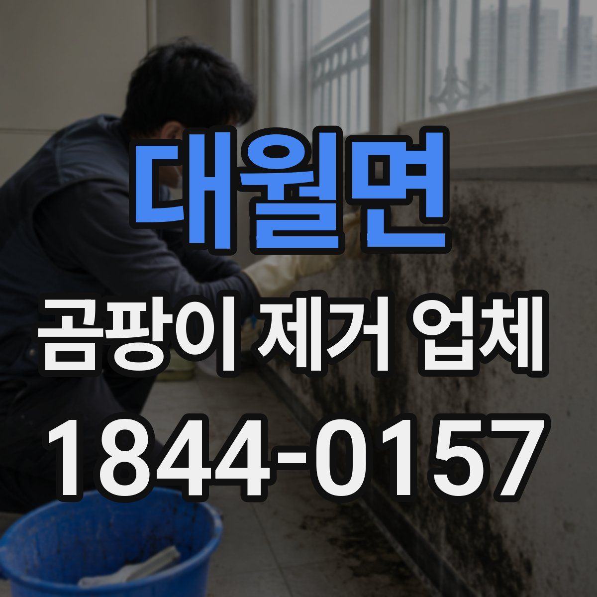 대월면 곰팡이 제거 업체