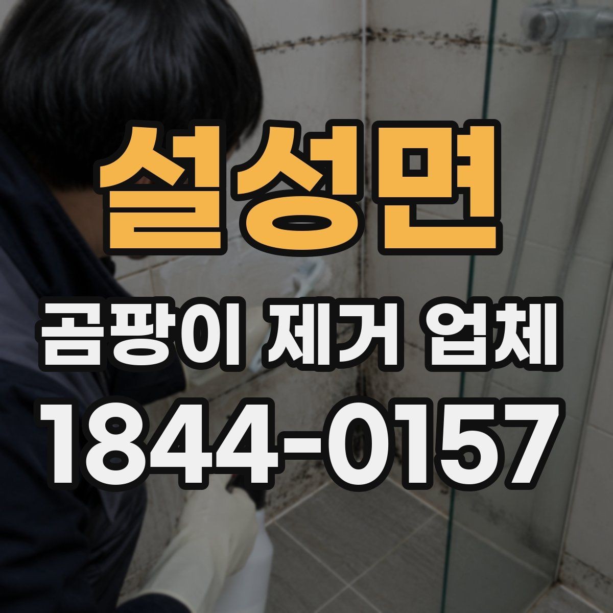 설성면 곰팡이 제거 업체 세대 간 습기 영향까지 보는 진단 방식