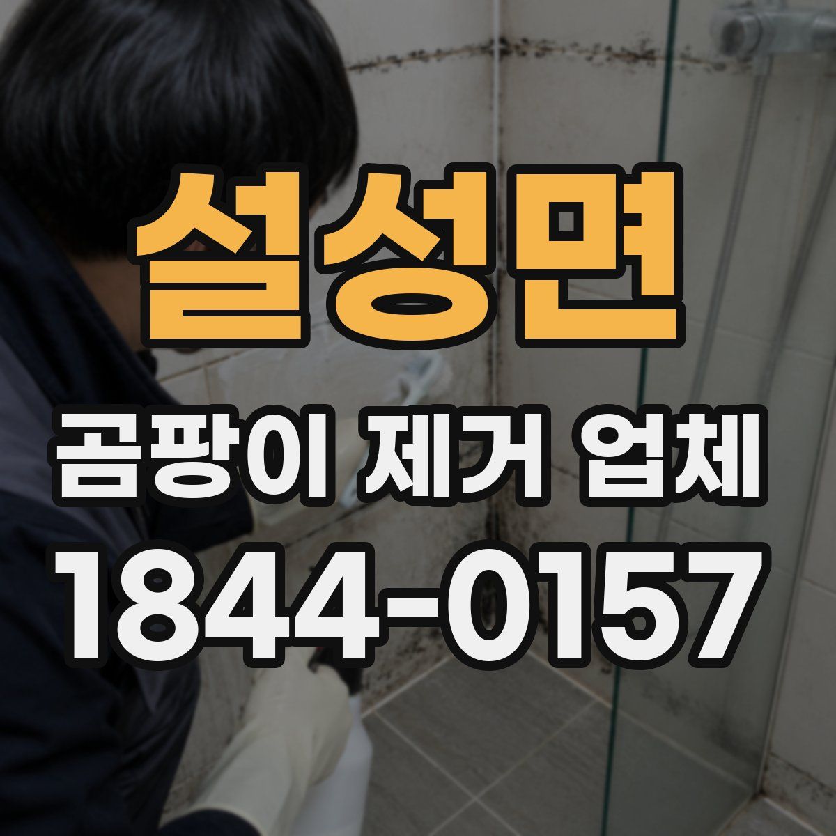 설성면 곰팡이 제거 업체