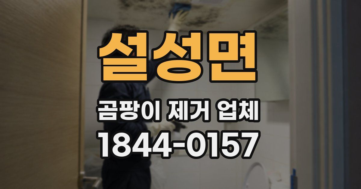 설성면 곰팡이 제거 업체
