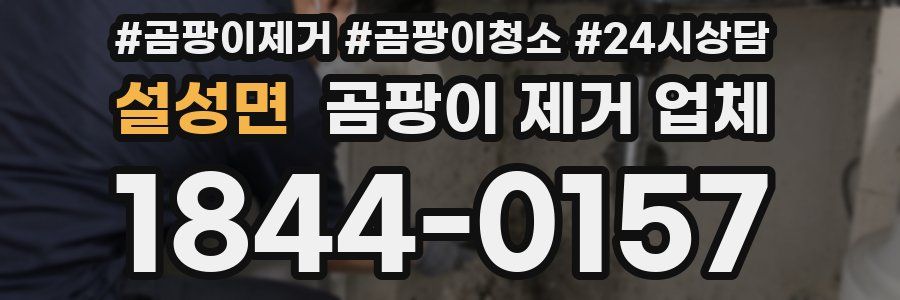 설성면 곰팡이 제거 업체