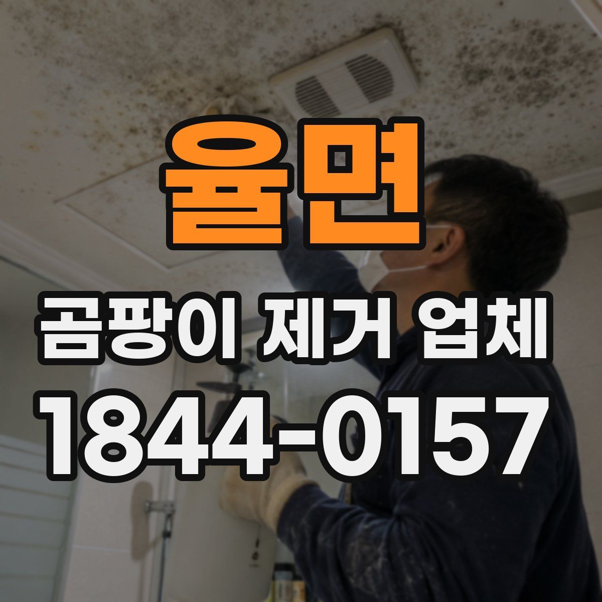 율면 곰팡이 제거 업체