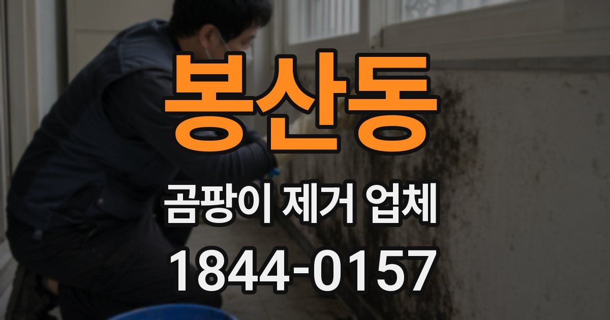 봉산동 곰팡이 제거 업체