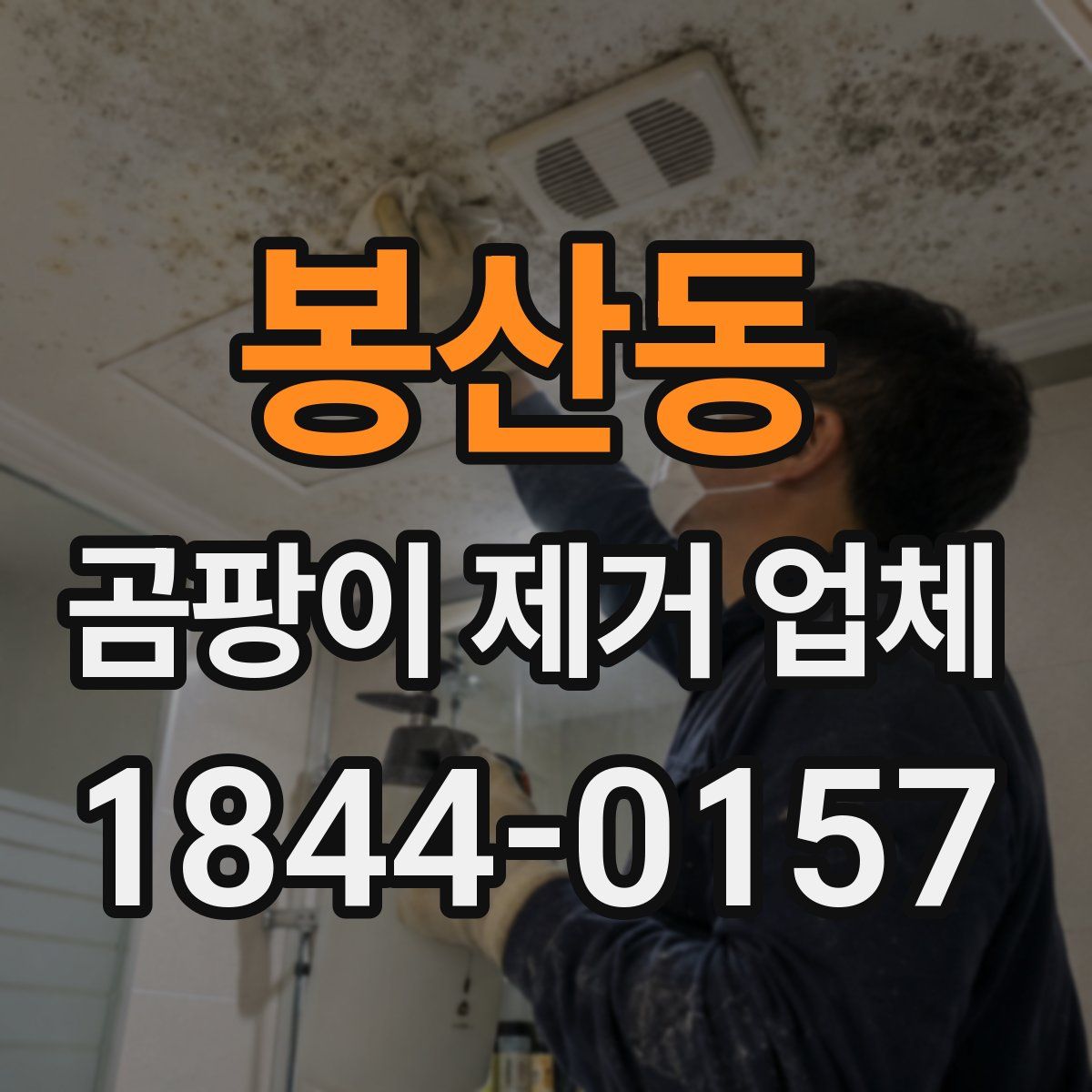 봉산동 곰팡이 제거 업체