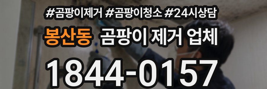 봉산동 곰팡이 제거 업체