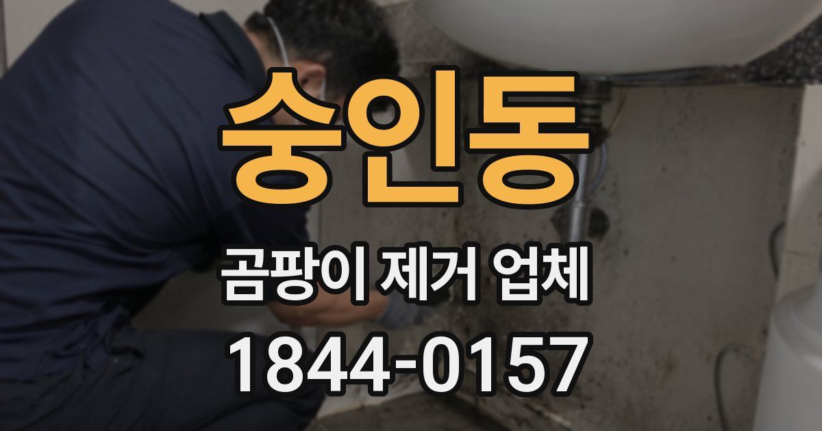 숭인동 곰팡이 제거 업체