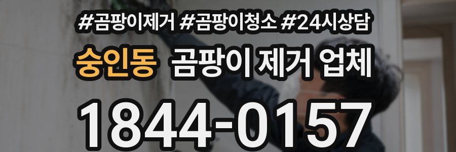 숭인동 곰팡이 제거 업체