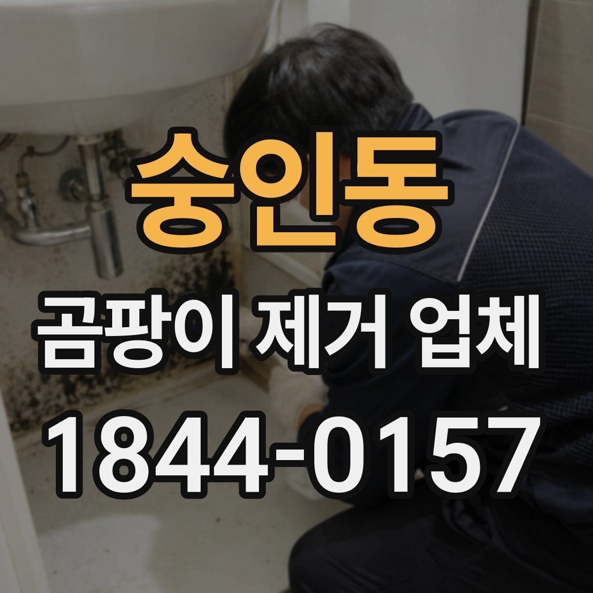 숭인동 곰팡이 제거 업체