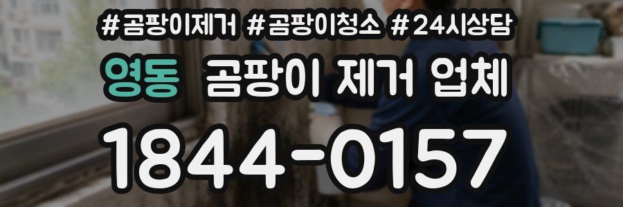 영동 곰팡이 제거 업체