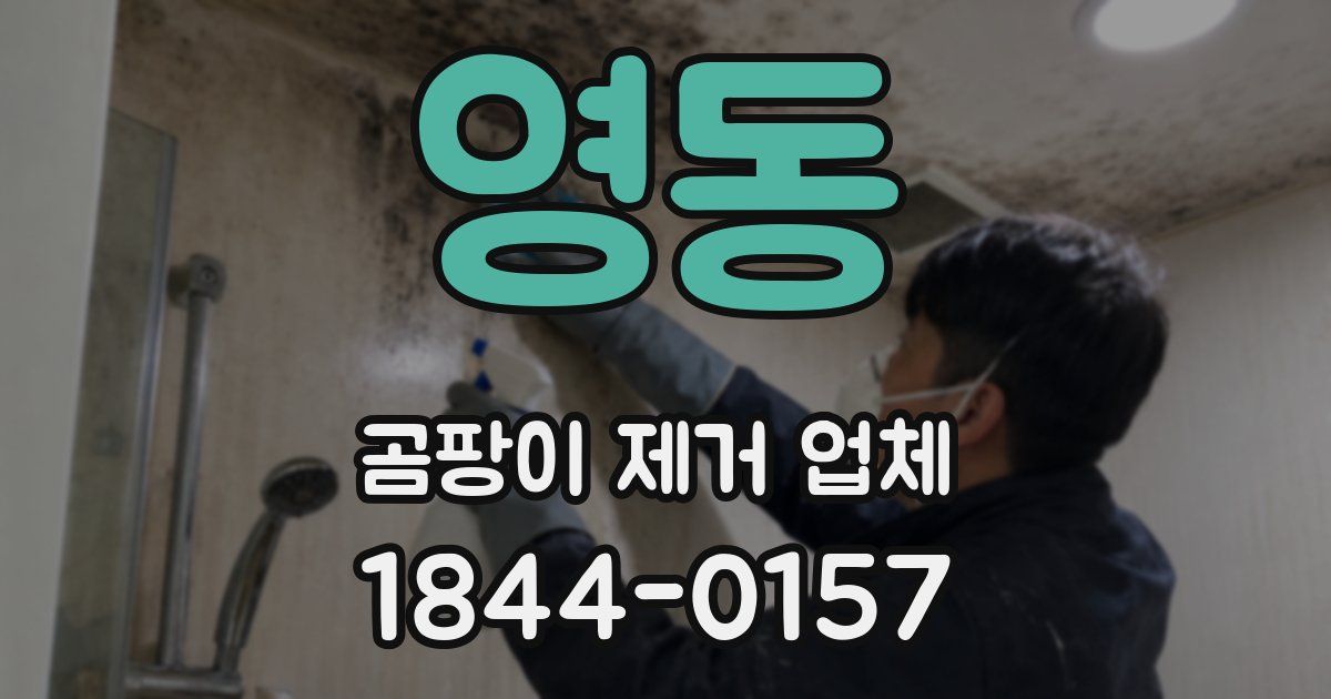 영동 곰팡이 제거 업체