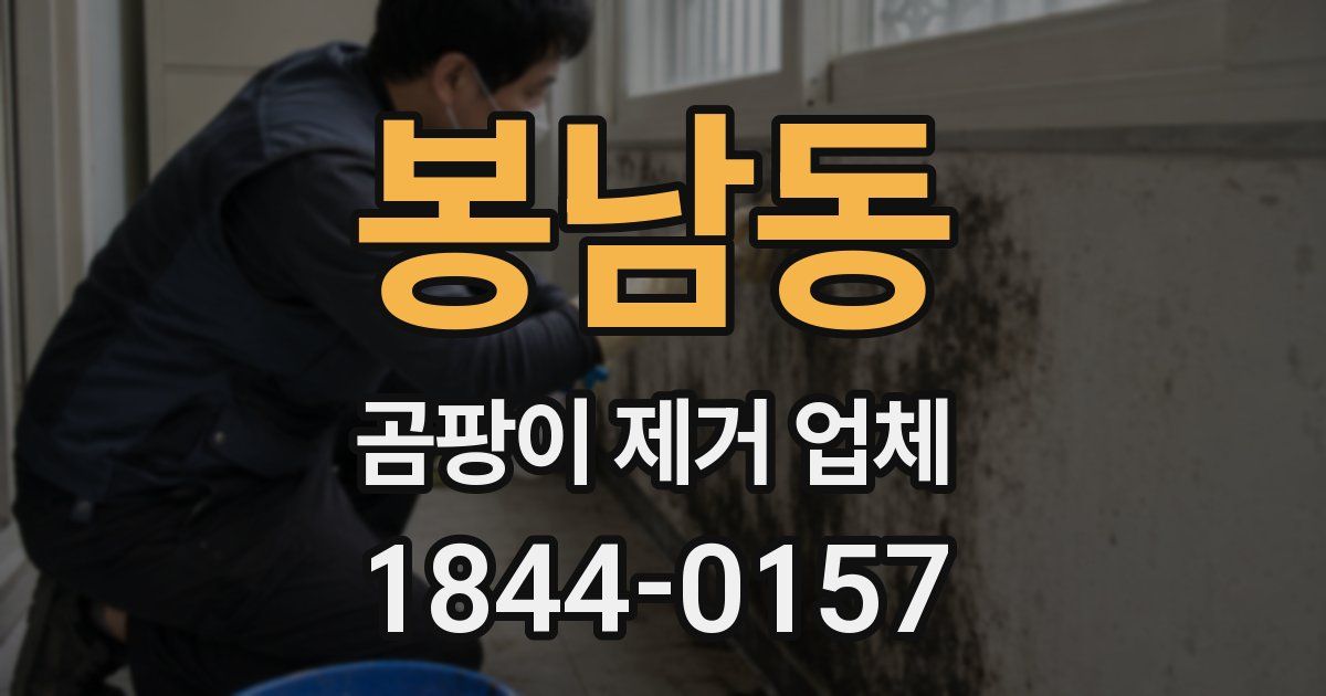 봉남동 곰팡이 제거 업체
