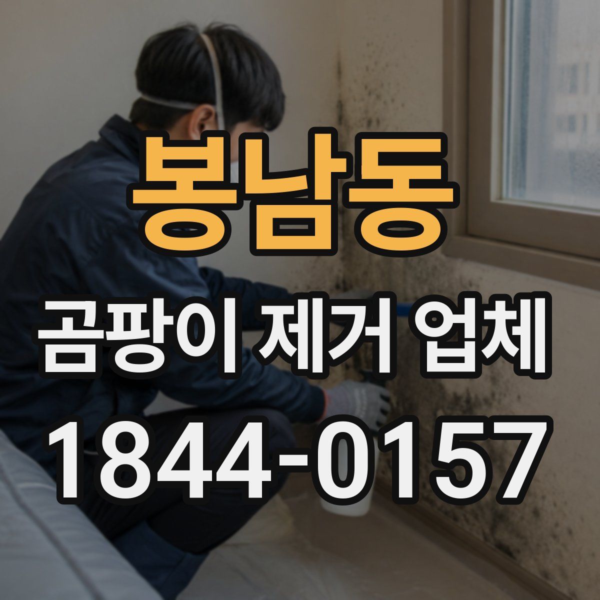 봉남동 곰팡이 제거 업체