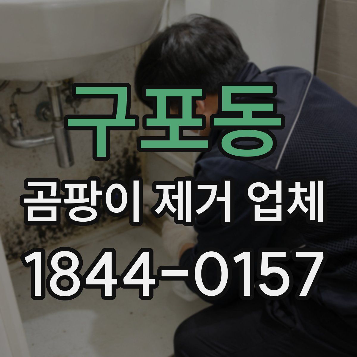 구포동 곰팡이 제거 업체
