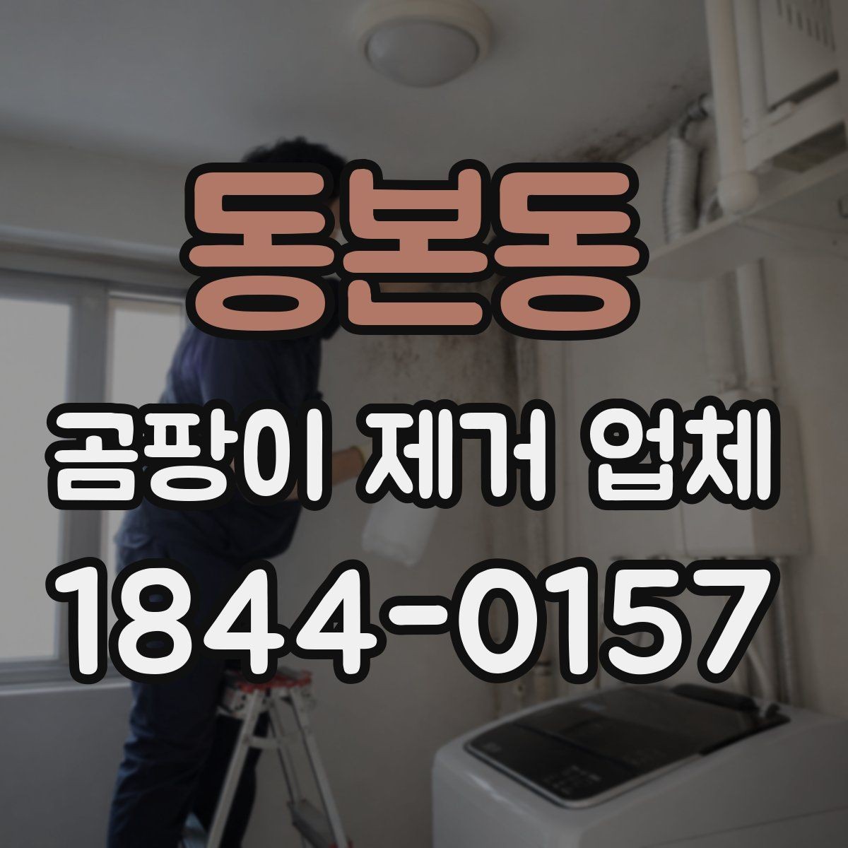 동본동 곰팡이 제거 업체 사진 비교로 확인하는 전후 상태와 손상 정도