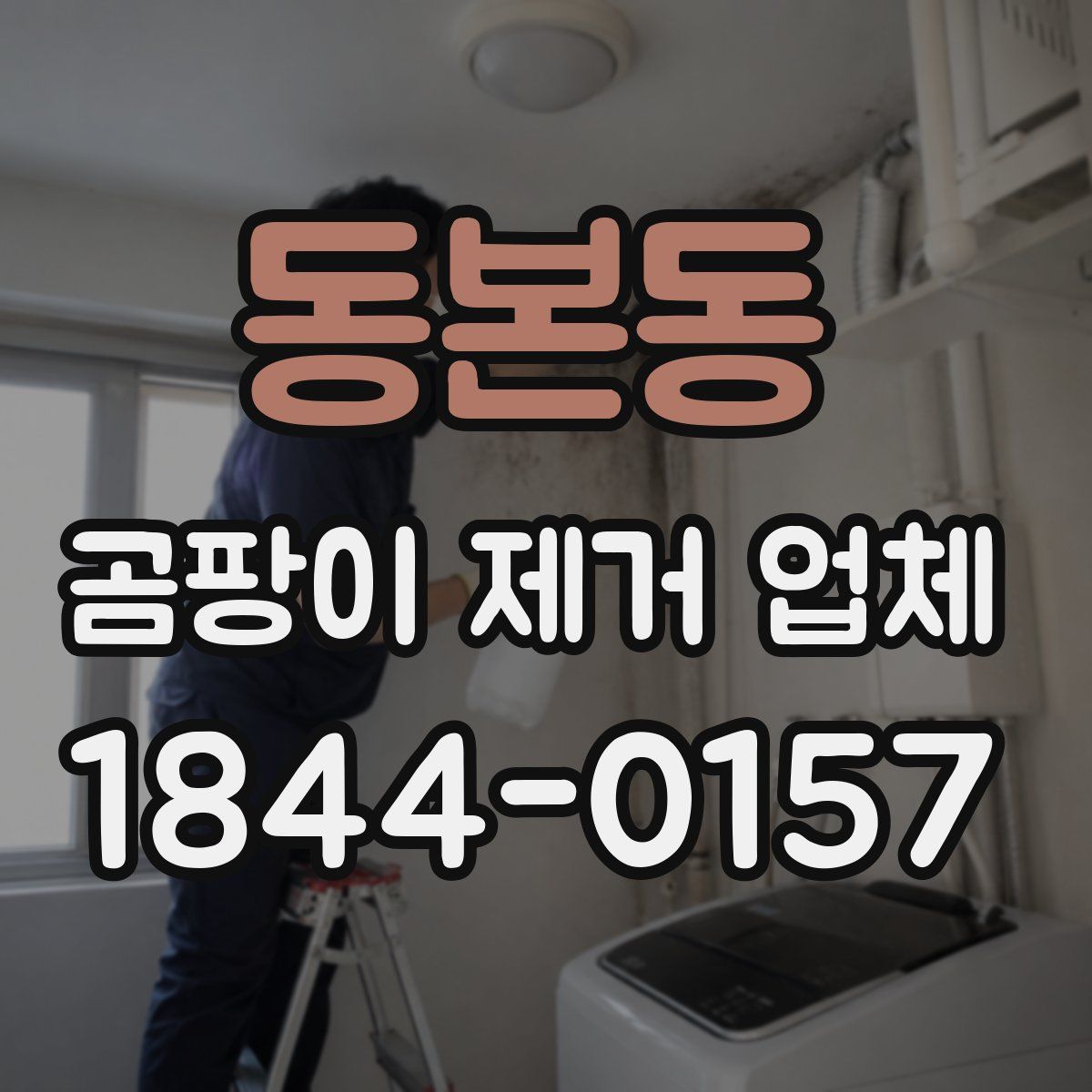 동본동 곰팡이 제거 업체