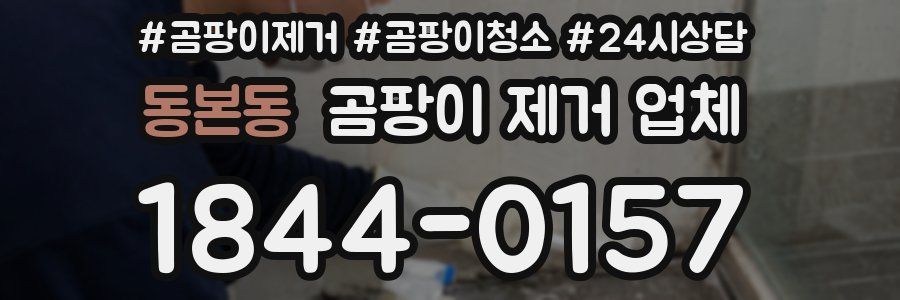 동본동 곰팡이 제거 업체