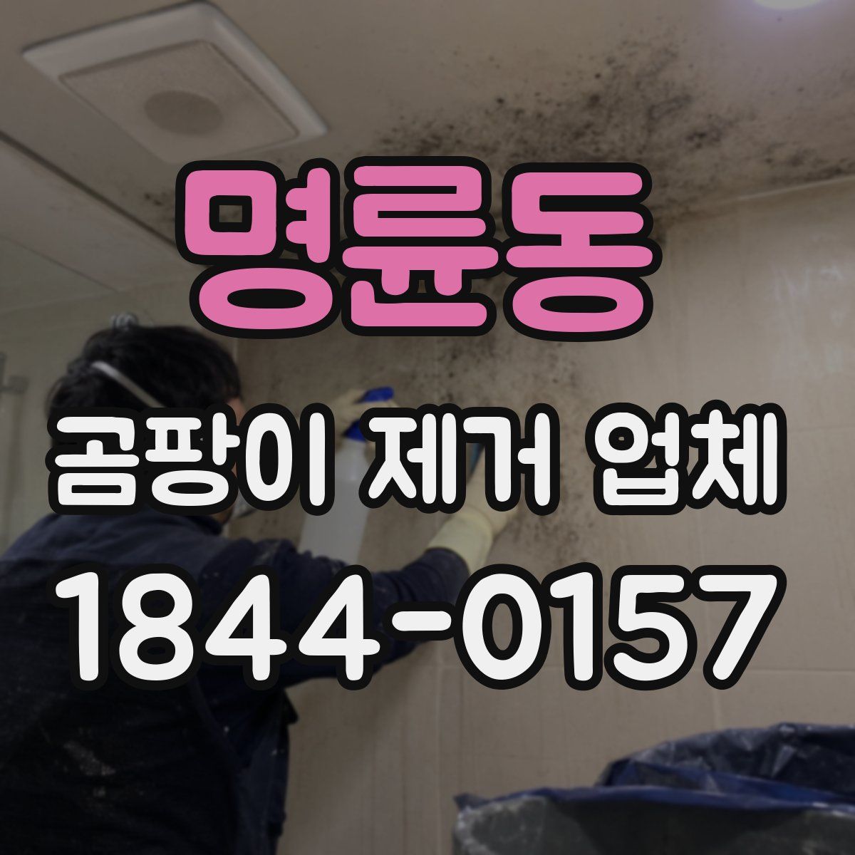 명륜동 곰팡이 제거 업체