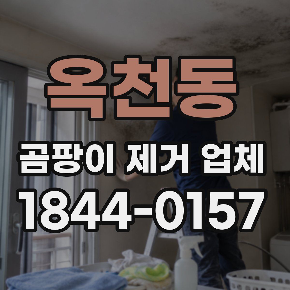 옥천동 곰팡이 제거 업체