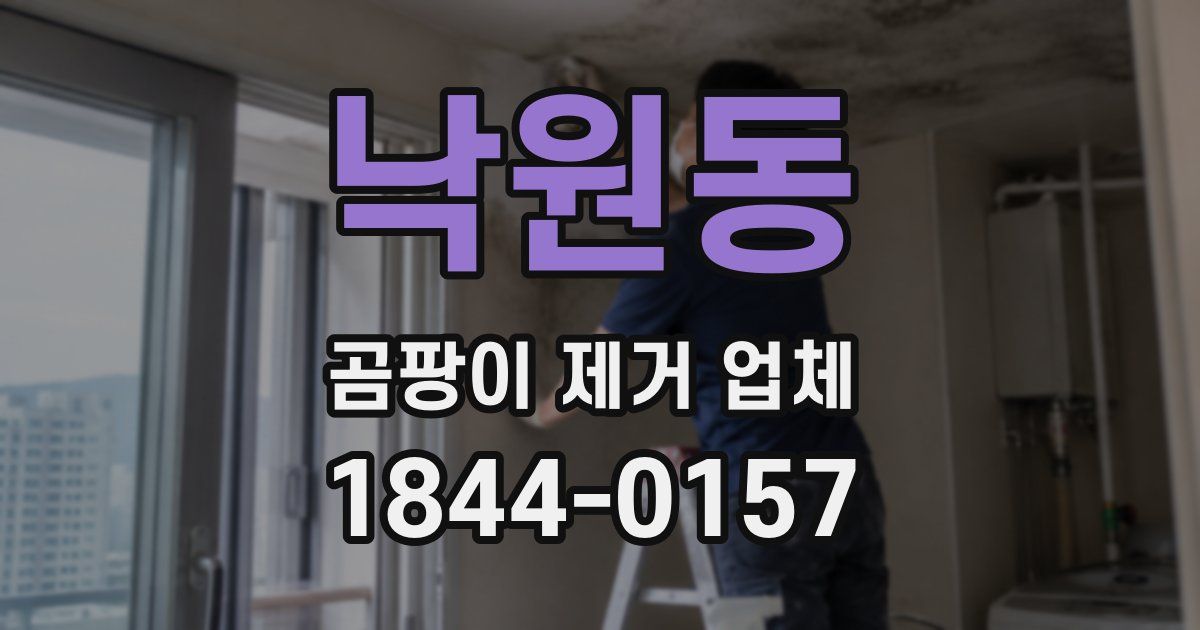 낙원동 곰팡이 제거 업체
