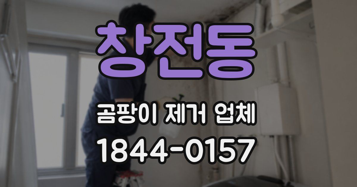 창전동 곰팡이 제거 업체