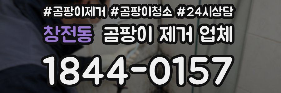 창전동 곰팡이 제거 업체