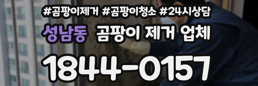 성남동 곰팡이 제거 업체