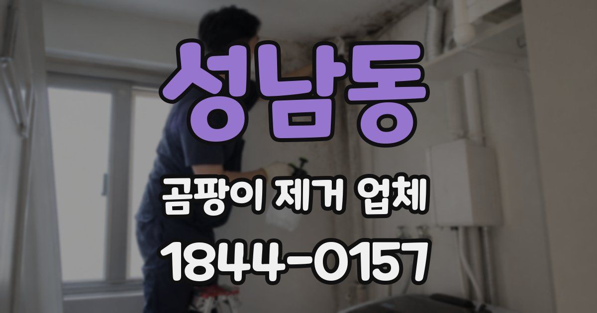 성남동 곰팡이 제거 업체