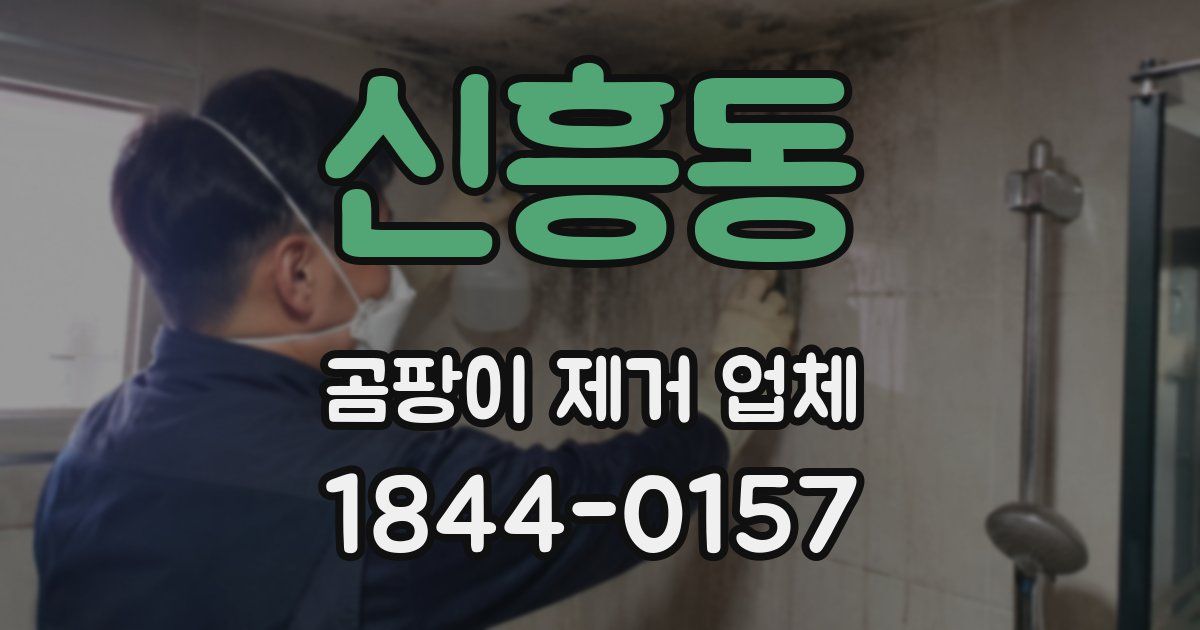 신흥동 곰팡이 제거 업체